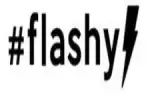 logo flashy web